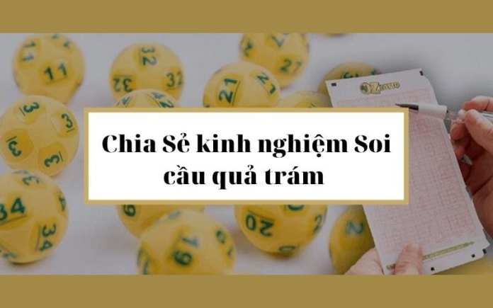 Chia Sẻ kinh nghiệm Soi cầu quả trám hiệu quả: